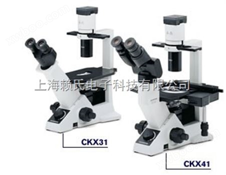 奥林巴斯倒置显微镜CKX31-A12PHP