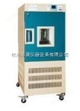 YWS-500S上海精宏药品稳定性试验箱YWS-500S