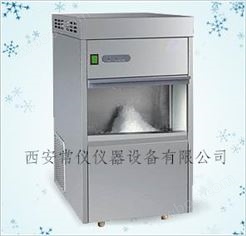 全自动雪花制冰机