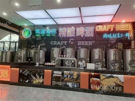 葫芦岛小型餐饮店1吨的精酿鲜啤酒酿造设备