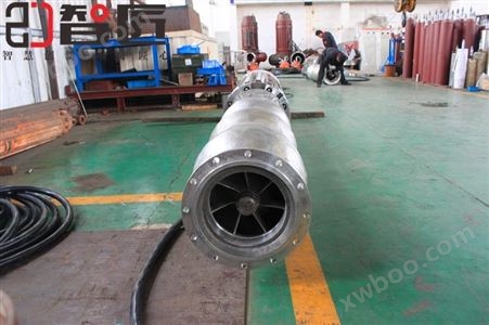 杭州智匠牌316L材质不锈钢潜水电动泵 不锈钢液下泵