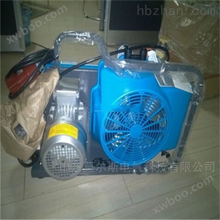 BAUER宝华JUNIOR II-E-H高压空气充气泵 车载充气泵