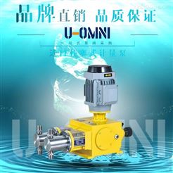 進口柱塞式計量泵-美國歐姆尼U-OMNI
