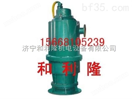 BQS-15-55-5.5/N潜水电泵装置运行及安全