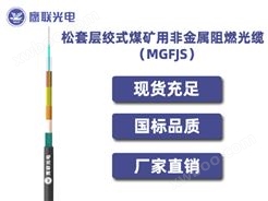 MGFJS-24芯，松套层绞式煤矿用非金属阻燃光缆，室外光缆价格