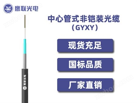GYXY-2~12芯，中心管式非铠装光缆，电力光缆厂家，室外光缆价格