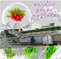 供应蔬菜清洗机 多功能清洗机 净菜加工设备