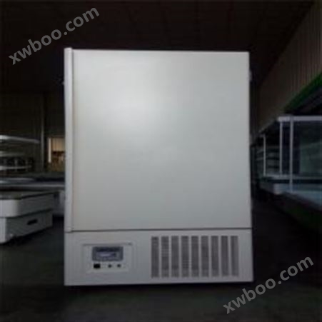 德馨永佳车间制冷设备零下86度低温冰箱DW-86-L396