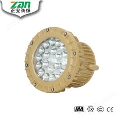 ZAD102-Ⅰ LED免维护防爆灯
