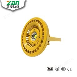 ZAD101-Ⅲ LED免维护防爆灯