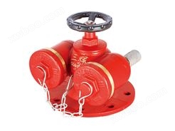 SQD150-1.6 多用式消防水泵接合器