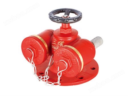 SQD150-1.6 多用式消防水泵接合器