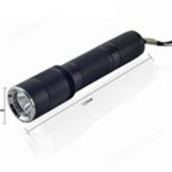袖珍强光手电筒CYGL6023佩戴式照明电筒3W功率检修照明
