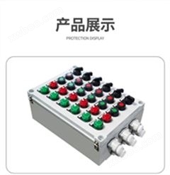 BXK-A8D8防爆配电控制箱