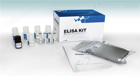 小鼠肺部活化调节趋化因子（PARC/CCL18）ELISA试剂盒