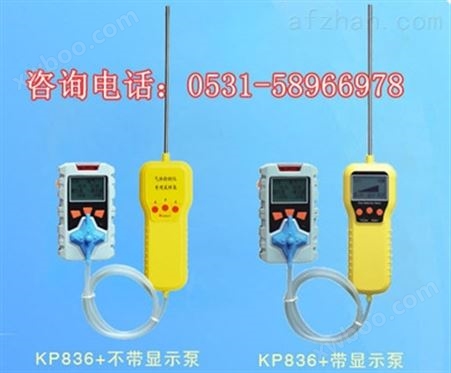 手持式KP836型氧气硫化氢泄漏检测仪