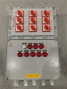 400*500防爆检修箱 一备一用电机控制箱