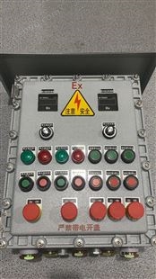 复合型防爆照明动力箱IIC级防爆电源箱厂家
