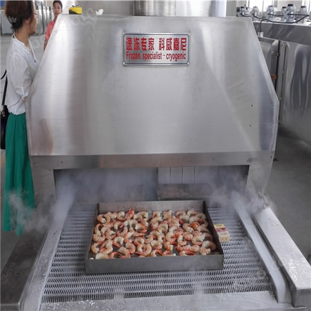 工厂实拍图液氮速冻虾尾鸡米花鸭肝速冻机 制冷机