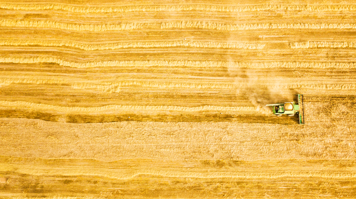 遭遇近10年最严重“烂场雨”：河南麦收进展牵动人心